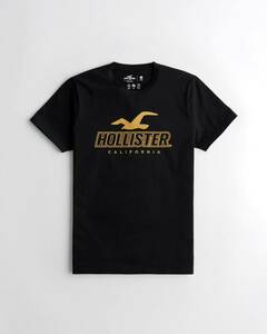 新品★正規品★Sサイズ！★ホリスターHOLLISTER★クルーネック★ Tシャツ ★メンズ ★半袖 ★スポーツニット ロゴグラフィック