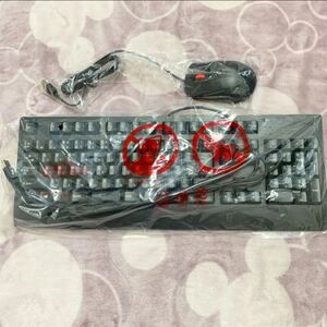 【新品未使用】正規品 Lenovo キーボード マウス セット