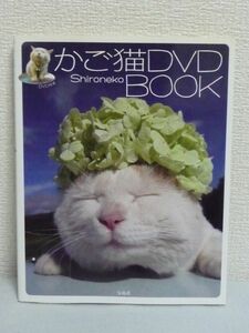 かご猫DVD BOOK★Shironeko■田舎 美しき自然映像 写真 画像♪♪
