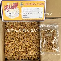 北海道産乾燥帆立貝柱 割れ品（B3）1kg（100g×10袋）ホタテ貝柱 貝柱_画像3