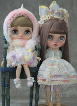 **Mint berry** Blythe ブライスのお洋服セット **ユニコーン Aiday** 手作りの唯一品 12点 検 カスタムブライス_画像1