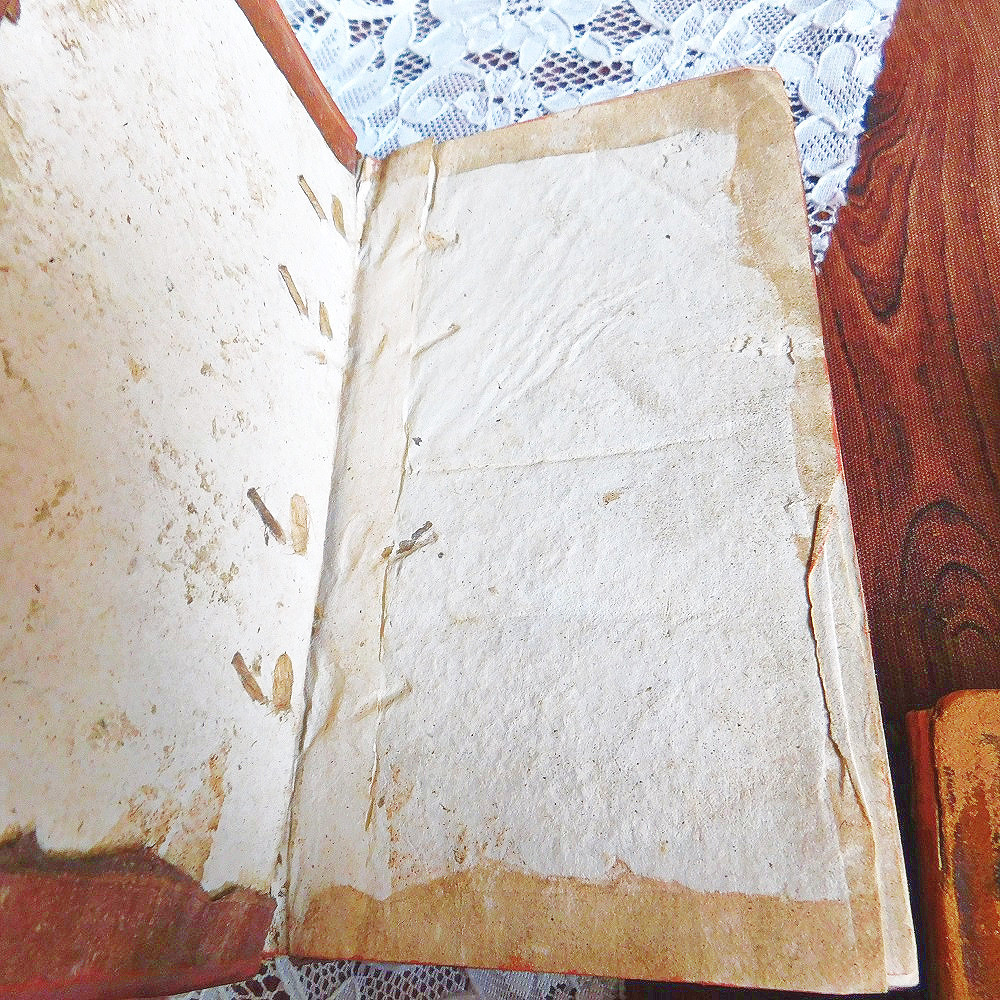 通販でクリスマス アンティーク洋書・古書12冊セット/赤茶系
