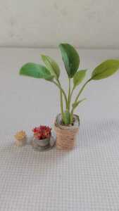 樹脂粘土 シルバニアプチブライス momoko ドールハウス flower ハンドメイド 観葉植物、多肉植物、handicraft.miniミニチュア、オーガスタ