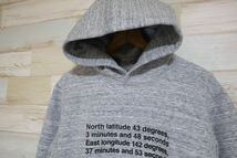 店舗限定 新品　Mサイズ THE NORTH FACE ザ　ノースフェイス　トマム　スーベニア　フーディー　パーカー TOMAMU SOUVENIR HOODIE 裏起毛_画像3