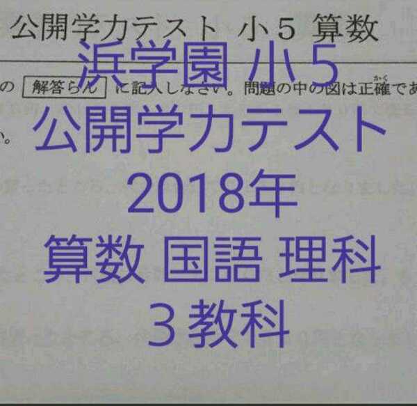 浜学園 小5 2018年 公開学力テスト 3教科