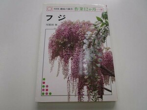NHK hobby. gardening work 12 month...28 Fuji author : river . rice field . Japan broadcast publish association Showa era 60 year 4 month 20 day no. 1.k0401 OC-2