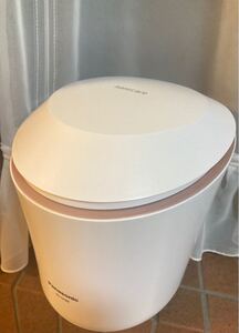 Panasonic パナソニックスチーマーナノケア ナノケア EH-SA99 フェイススチーマー 温&冷ダブルスチーマー