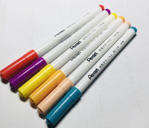 希少　Pentel Water Color Pen ぺんてる　水性カラー　ペン　6本セット