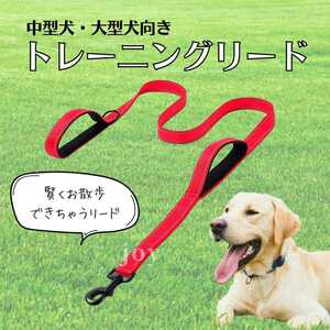 犬 リード トレーニング 訓練 夜 大型犬 中型犬 150cm 赤