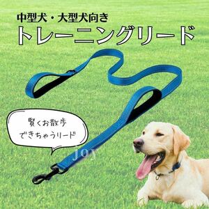 犬 リード トレーニング 訓練 夜 大型犬 中型犬 150cm 青
