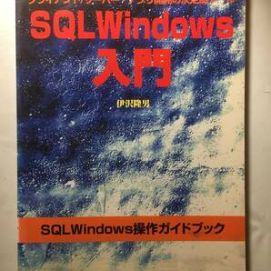 SQL Windows入門 伊沢隆男 リックテレコム 定価1800円の画像1