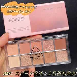 新品10色入りアイシャドウパレット韓国メイク中国コスメ濡れ感可愛い12#ブラウン