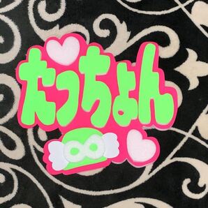 手作りうちわ★パネルのみ★たっちょん