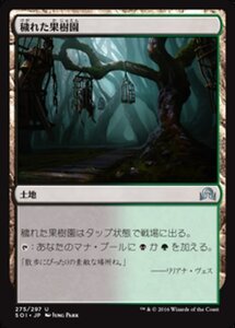 MTG ■土地/日本語版■ 《穢れた果樹園/Foul Orchard》★FOIL★ イニストラードを覆う影 SOI