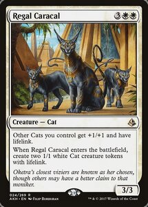 MTG ■白/英語版■ 《威厳あるカラカル/Regal Caracal》アモンケット AKH