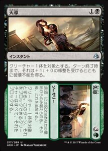 MTG ■金/日本語版■ 《天導+先導/Destined+Lead》アモンケット AKH