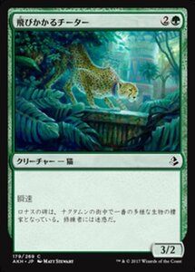 MTG ■緑/日本語版■ 《飛びかかるチーター/Pouncing Cheetah》★FOIL★ アモンケット AKH