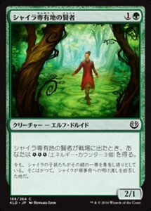 MTG ■緑/日本語版■ 《シャイラ専有地の賢者/Sage of Shaila's Claim》カラデシュ KLD