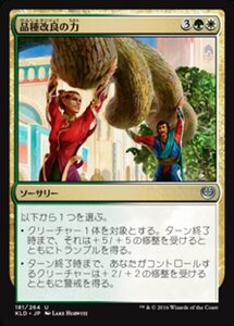 MTG ■金/日本語版■ 《品種改良の力/Engineered Might》★FOIL★ カラデシュ KLD