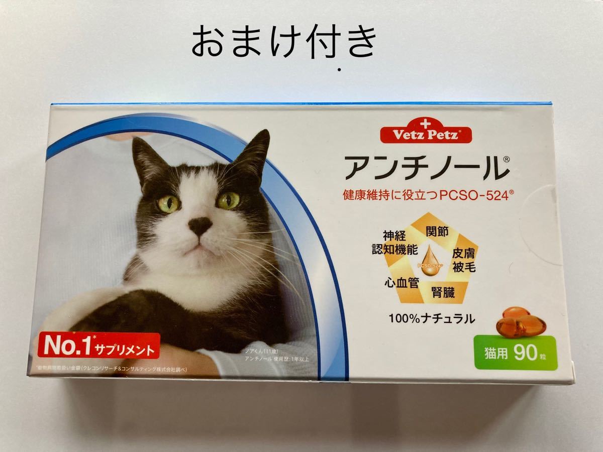 新作人気 アンチノール猫用60粒2ケース - 猫用品