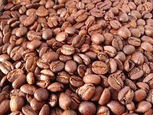 キリマンジャロ AA コーヒー豆 自家焙煎 400ｇ ミディアムロースト 受注後に焙煎