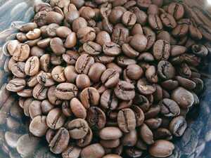 ブラジルサントスNo2 ナチュラル コーヒー豆 自家焙煎 400ｇ シティロースト 受注後に焙煎