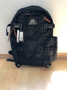 GREGORY グレゴリー ALLDAY V2.1 デイパック