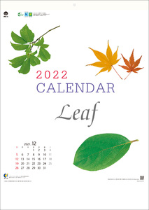 名入れカレンダー 100冊セット 明和カレンダー 2022年カレンダー 壁掛け リーフ MW-13