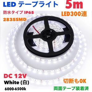 LEDテープライト DC12V ホワイト(白) 5m LED300連 防水 切断