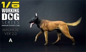 Mr.Z 1/6 サイズ ベルジアン・シェパード・ドッグ・マリノア 犬 動物 リアル フィギュア おもちゃ 模型 犬好き 誕生日 プレゼント A