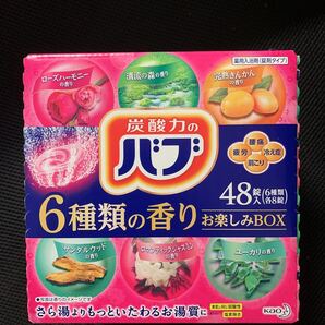 バブ 6種類の香り 48錠 花王バブ 入浴剤 薬用入浴剤 炭酸入浴剤 詰め合わせ 花王 大容量 送料無料