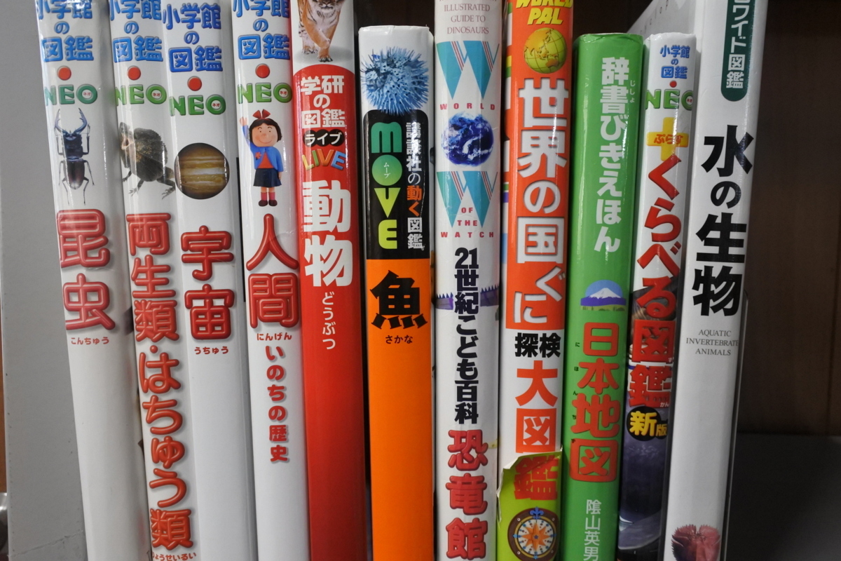 小学館の図鑑neo 新版 Dvd付き 動物 恐竜 魚 昆虫 人間 両生類 爬虫類