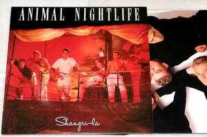 LP　ANIMAL NIGHTLIFE アニマルナイトライフ Shangri-la/ILPS9830/UK盤