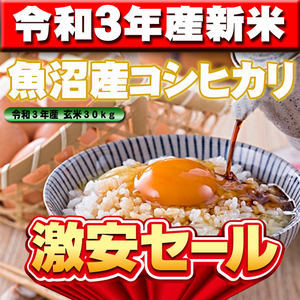 【令和３年産新米】新潟県魚沼産コシヒカリ玄米30kg（精米無料）味・ツヤ・香り全て最高ランクです.
