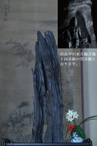 大型黒奇楠沈香木(1561g)(新春特価16万)(甘味、鹹味、辛味の香りから蜂蜜の甘い香りに変化!)(伽羅・沈香・香木・お香)