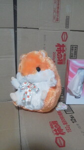 ko. is . cologne fruit flavour . hutch attaching! orange soft toy JB 60 size 25cm