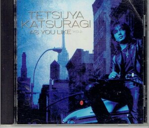  Katsuragi Tetsuya [AS YOU LIKEaz* You * Like ] запись поверхность хороший CD* бесплатная доставка 