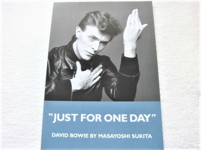ヤフオク! -デヴィッド ボウイ 写真集の中古品・新品・未使用品一覧