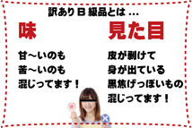 価格重視の方へ人気の訳ありB級 送料無料 青森県産 波動黒にんにくバラ1kg(500g×2) 無くなり次第終了！【8089】_画像2