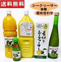 送料無料 青切りシークワーサー お得な5点セット お試し ノビレチン 沖縄県産 大宜味産 果汁100％ タンゲレチン 飲み比べ 原液 無添加_画像1