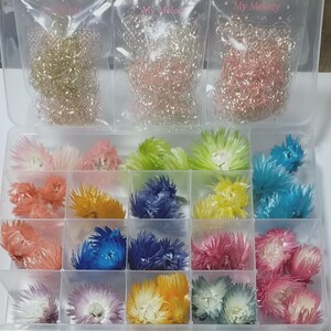 ハーバリウムキャンドルにプリザーブドフラワーミニシルバーデイジーヘッド部分色々セット