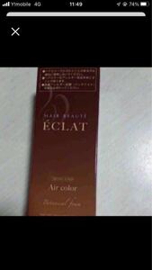 ヘアボーテ エクラ ボタニカルエアカラーフォーム ダークブラウン 80g