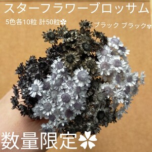 ハーバリウムボールペン レジン アクセサリー 花材セット 気まぐれ素材 ブラック