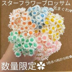 ハーバリウムボールペン レジン アクセサリー 花材セット 気まぐれ素材 気まぐれ