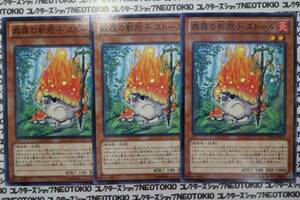 遊戯王 森羅の影胞子ストール(ノーマル)×3枚セット