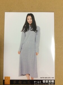 菅原茉椰 生写真 革命の丘 セブンネット購入特典 SKE48