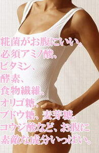 [ free shipping ] sweet sake amazake ... surprise .. nutrition,. enzyme . health beauty . that way ... cool pack 160 gram ×30 pack 