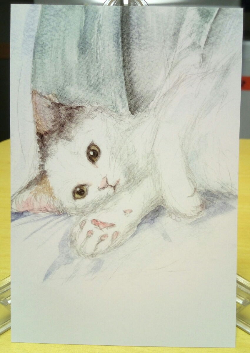 Original acuarela gato pintado a mano ilustración reproducción postal Yuki-chan [Shizuka Aoki], impresos, tarjeta postal, Tarjeta postal, animal