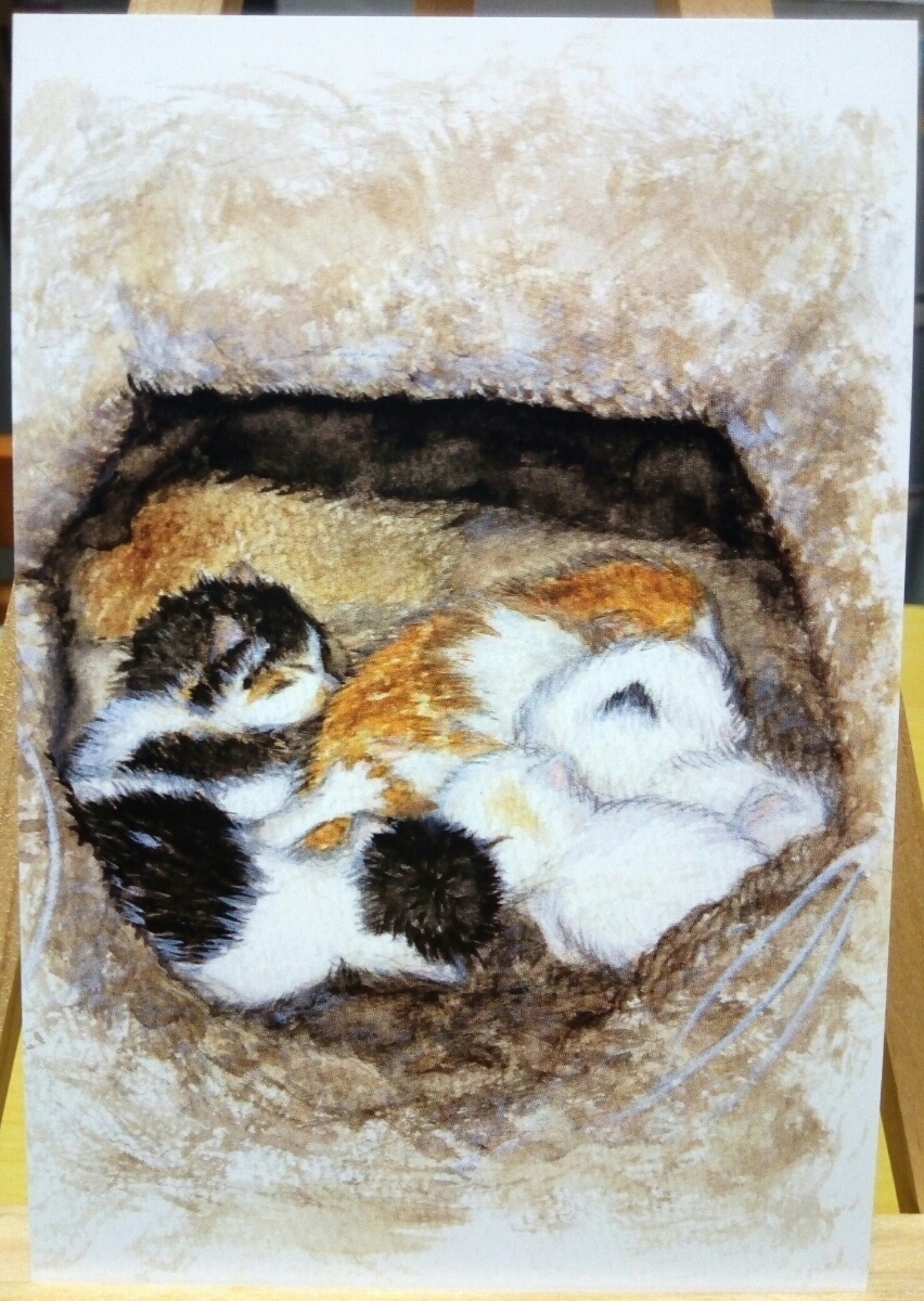 オリジナル 手描き イラスト ポストカード ねこのこども2④ 猫 子猫 赤ちゃん猫 きょうだい猫 水彩画 複製【あおきしずか】, コミック, アニメグッズ, 手描きイラスト