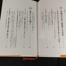 1235　潜在ワーカーが日本を豊かにする : シニア、主婦〈夫〉、外国人…多様な働き方が救世主となる_画像3